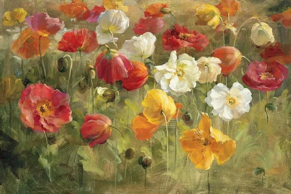 Danhui Nai Large Canvas Art Prints - Poppy Field