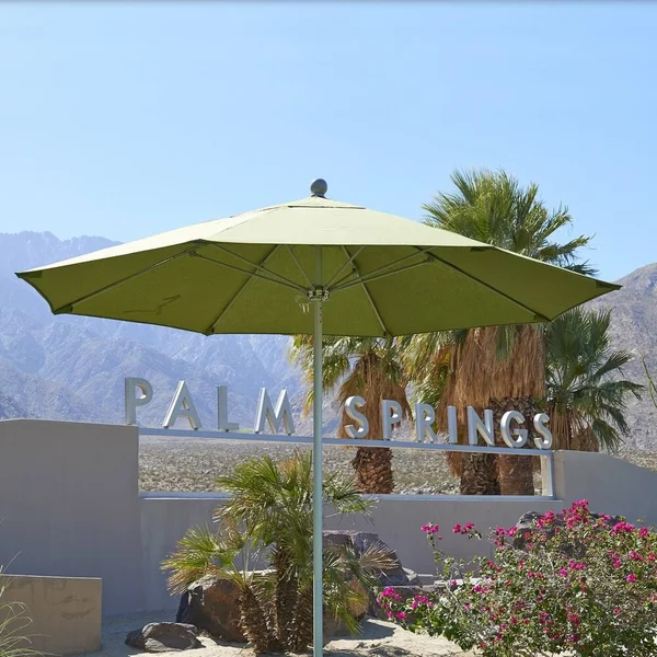 Riviera 9-Foot Push Open Aluminum Round Umbrella by Havenside Home - Forest Green