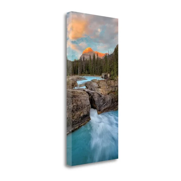 39x22 x 18x22 Orange Capped II by Dennis Frates Fine Art Giclee Print