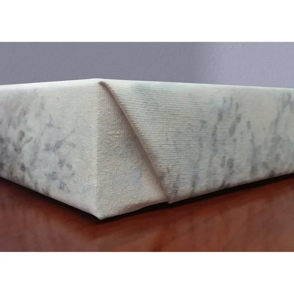 ArtWall Elena Ray &Bird Nest& Gallery-Wrapped Canvas