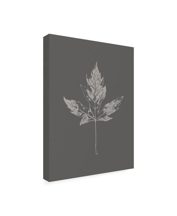 Trademark Fine Art Ic01302-C2432Gg Design Fabrikken 'Botanica 5 Fabrik