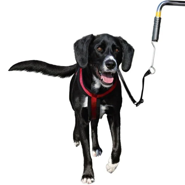 Trixie Biker Set for Large Dogs