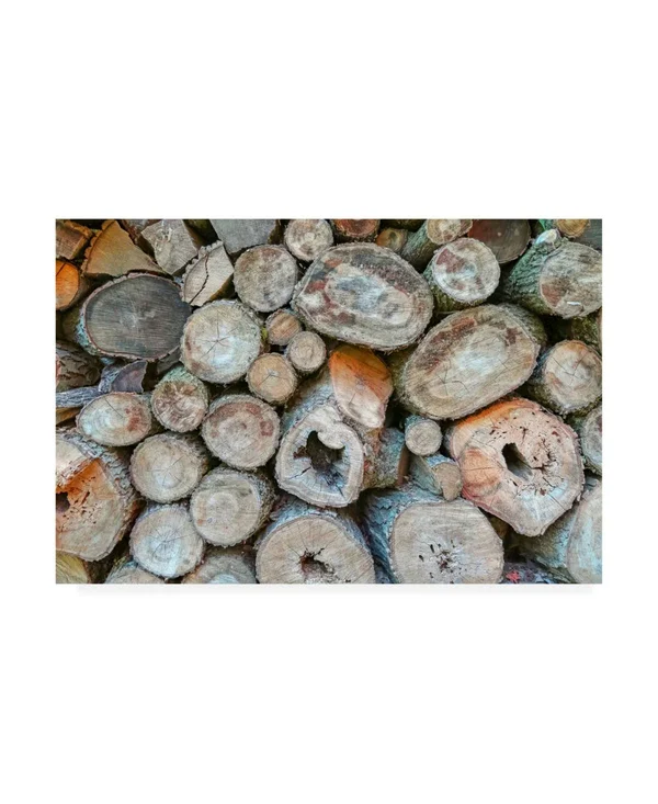 Trademark Fine Art Ic01571-C2232Gg Brooke T. Ryan 'Woodpile' Canvas AR