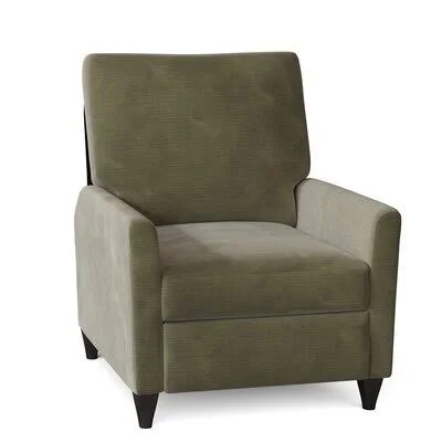 Wayfair Custom Upholstery Harrison 31x22 Wide Sunbrella Manual Standard Recliner Body Fabric: Empire Moss, Leg Color: Gray