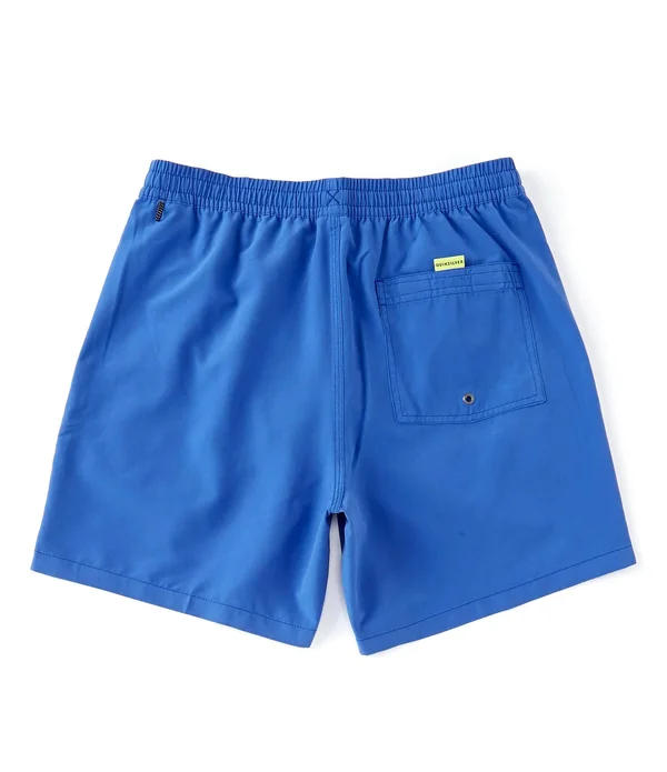 Quiksilver Everyday Volley 17