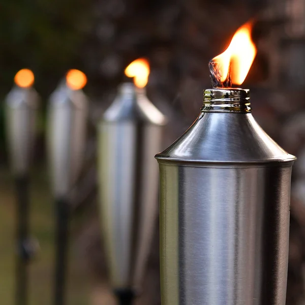 Deco Window Set of 4 Landscape Outdoor/Patio Garden Torch - Satin Silver