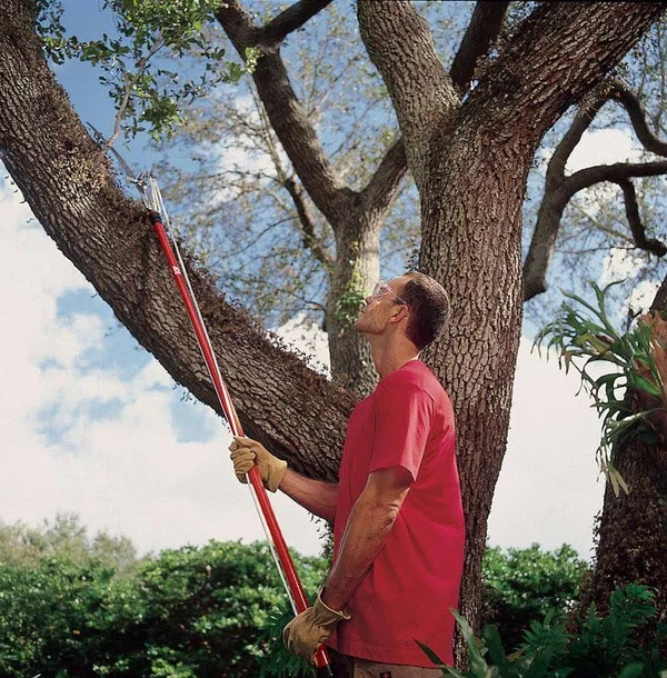 Corona TP3841 12& Tree Pruner with Fiberglass Handle