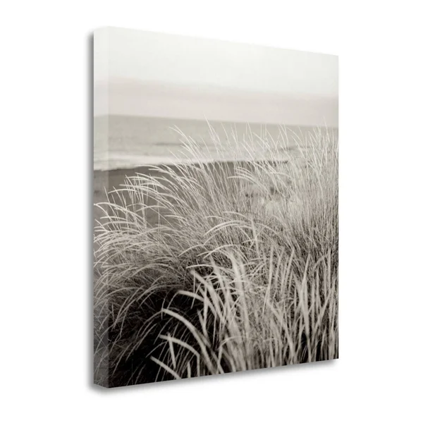 Tangletown Fine Art Tuscan Coast Dunes - 2x22 by Alan Blaustein, Giclee Print on Wrap Canvas, 30x30x22