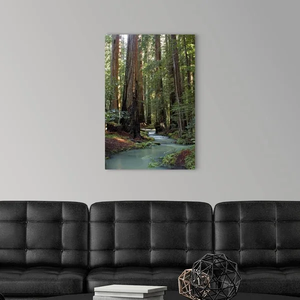 Redwood Forest III, Large Solid-Faced Canvas Wall Art Print, Great Big Canvas