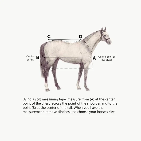 Horseware Blanket Liner 100g 87