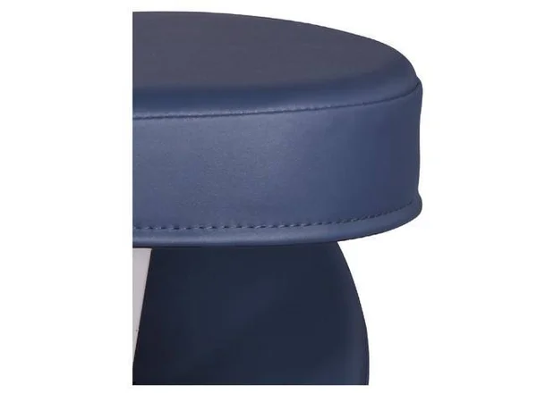 Master Ergonomic Steel Kneeling Chair - Royal Blue