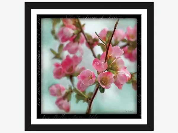 Framed Poster Prints - Quince Blossoms II by Sue Schlabach ( Seasons > Spring art)