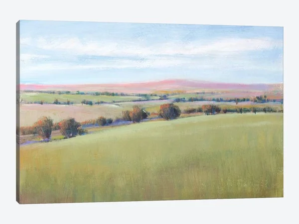 Tim OToole Canvas Prints - Hill Country II ( scenic & landscapes > Nature > fields - grasslands & Meadows art)