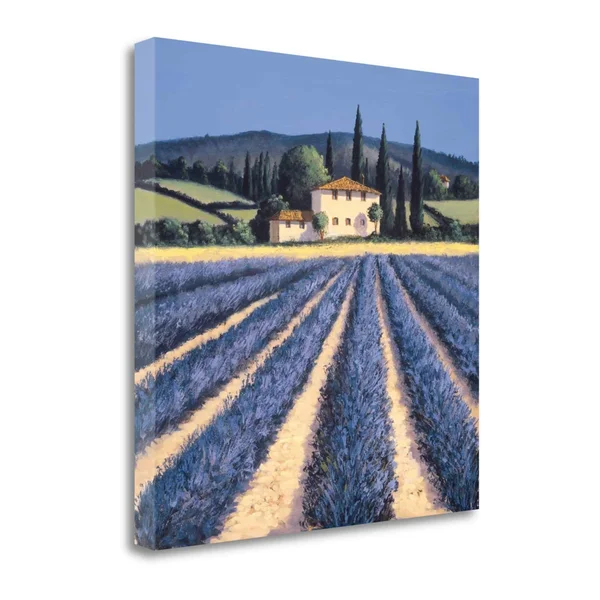 Tangletown Fine Art Colors of Summer by David Short - Giclee Print on Gallery Wrap Canvas, 35x22X35x22