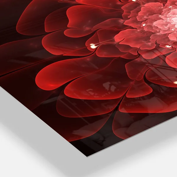 Fractal Flower Clear Red Digital Art - Large Floral Glossy Metal Wall Art - 20 in. Wide x 12 in. High