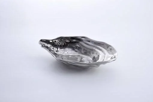 Pampa Bay Porcelain Large Oyster Bowl
