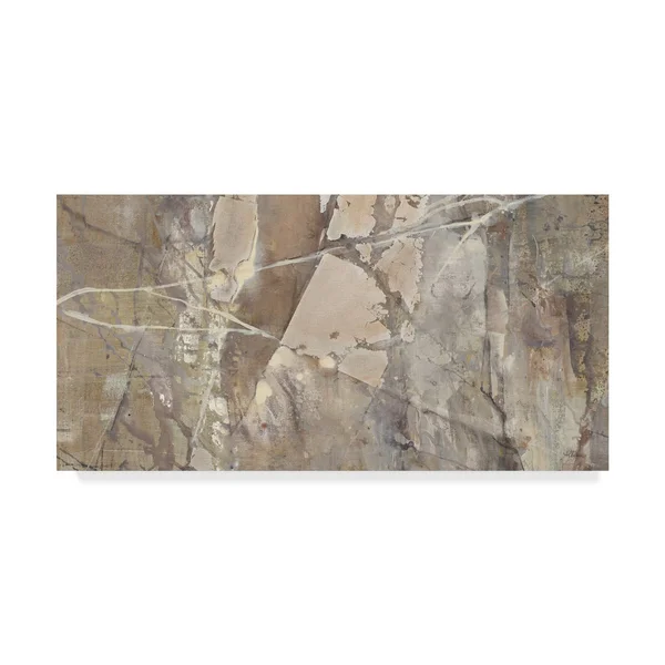 Trademark Fine Art 'Silver II Crop' Canvas Art by Albena Hristova, Size: 12 x 24