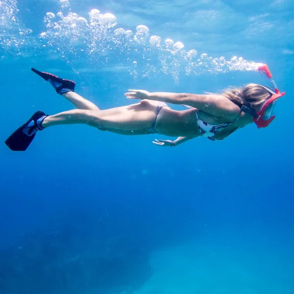 Wildhorn Topside Snorkel Fins Compact Travel Swim and Snorkeling Flippers-13 Men