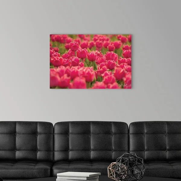 Pretty Pink Tulips - Canvas Wall Art, 30x20, Great Big Canvas