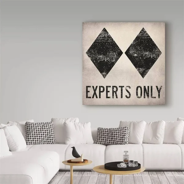 Trademark Fine Art 'Experts Only White' Canvas Art by Ryan Fowler, Black