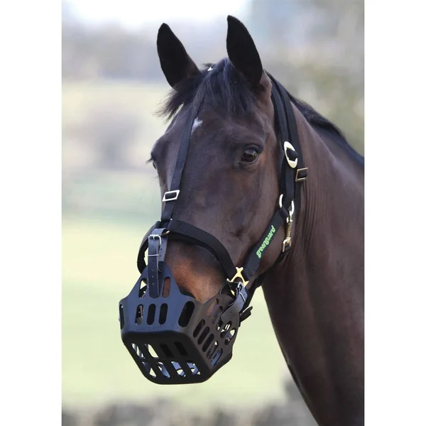 Shires Greenguard Headcollar - Black