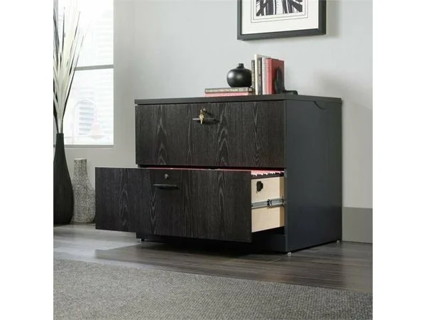Sauder Via 2 Drawer Lateral File Cabinet in Bourbon Oak