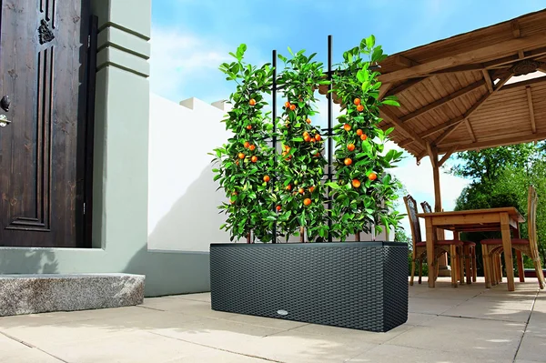 Rectangle Lechuza Trio Cottage 30 Self-Watering Resin Planter