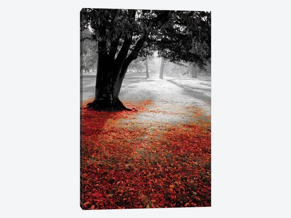 PhotoINC Studio Canvas Wall Decor Prints - Autumn Contraststyle > Decorative > Holiday D閏or > Thanksgiving art)