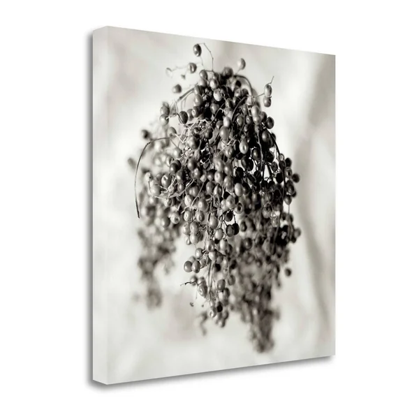 Tangletown Fine Art Florison - 38x22 by Alan Blaustein, Giclee Print on Gallery Wrap Canvas, 30x22x30x22