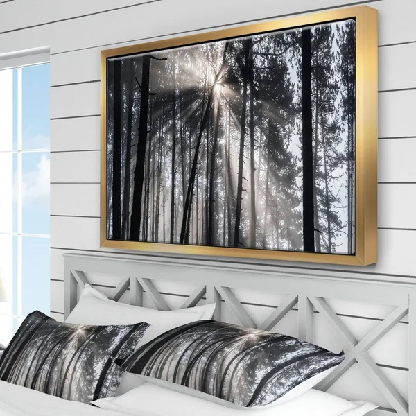 Designart Sunbeams Through Black White Forest- Forest Framed Canvas Wall Art Print in Gold - FL9987-46-36-GD