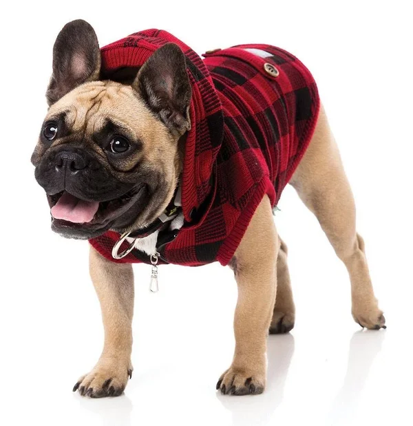 FuzzYard The Rocker Denim Dog Jacket, FabUPaws Boutique XX-Large