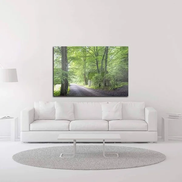 24x22 x 36x22 Frenzy Green by Anne Schneidersmann Print on Canvas