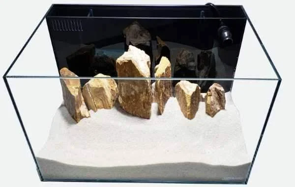 Lifegard Aquatics Ultra Low Iron Glass Crystal Aquarium with Built-in Back Filter, 24 Gallons