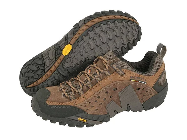 Merrell Intercept Shoes - Moth Brown