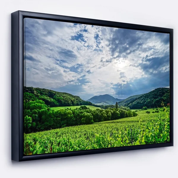 Designart 'Thunderstorm Weather Over Vineyards' Landscape Framed Canvas Art Print - 40 in. Wide x 30 in. High
