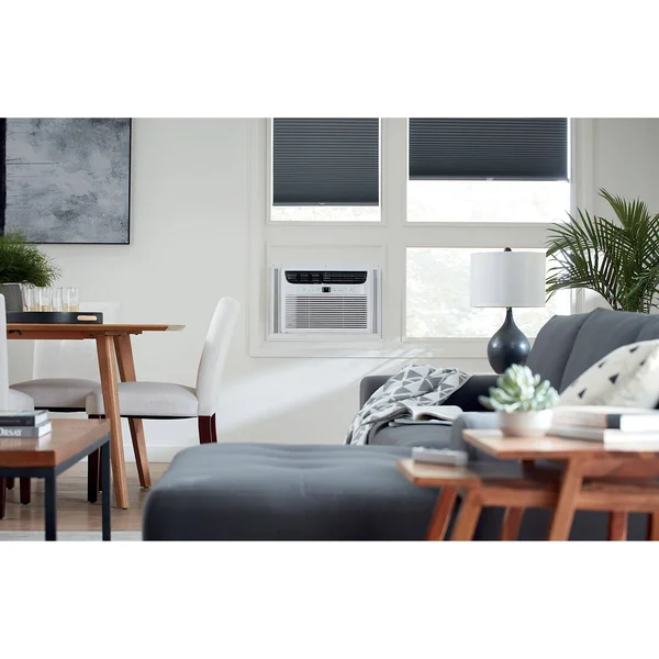 Frigidaire Energy Star 10, 000 BTU 115V Window-Mounted Compact Air Conditioner WI
