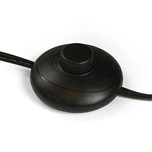 Hudson & Canal Caleb Brass and Matte Black Floor Lamp