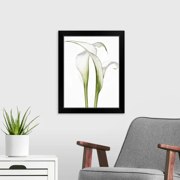 Calla Lily Pair - Black Framed Wall Art, 16x20, Great Big Canvas