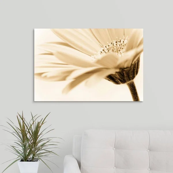 GreatBigCanvas Daisy by PhotoINC Studio Canva 20-in H x 30-in W Abstract Print on Canvas - 2529476-24-30X20