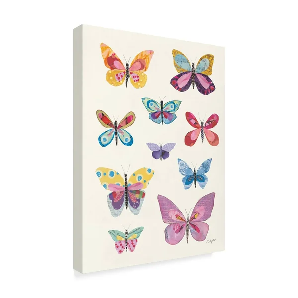 Trademark Fine Art Courtney Prahl Butterfly Charts II 35x47 Canvas Art - WAP09860-C3547GG