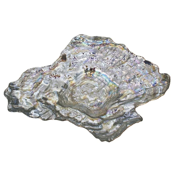 Oyster Pearl Silver Large Bowl
