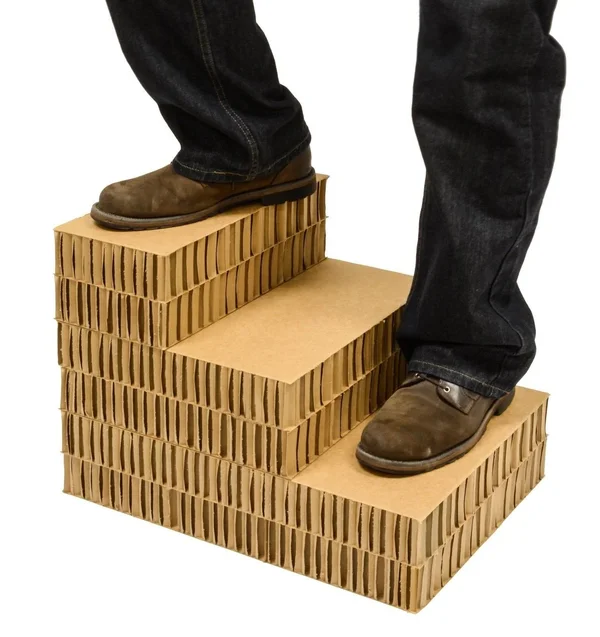 Dallas Manufacturing Co. 3 Step Home D閏or Pet Steps - Brown & Tan