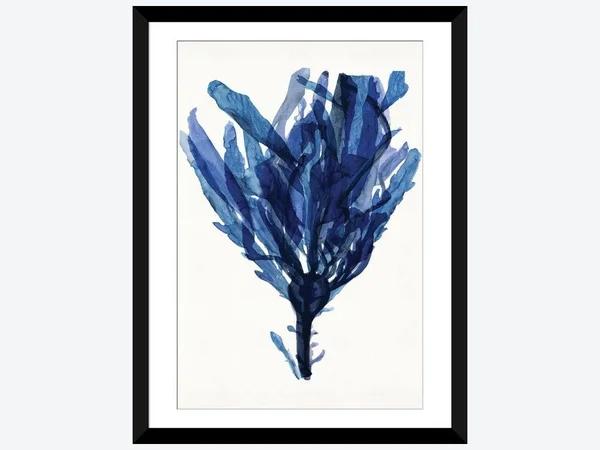 Framed Poster Prints - Indigo Ocean IV by Stellar Design Studio ( Floral & Botanical art)