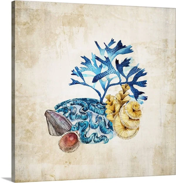 Sea Life II - Canvas Wall Art, 30x30, Great Big Canvas