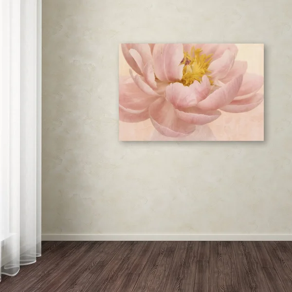 Trademark Fine Art Ali1869-C2232Gg Cora Niele &Pink Peony& Canvas Art