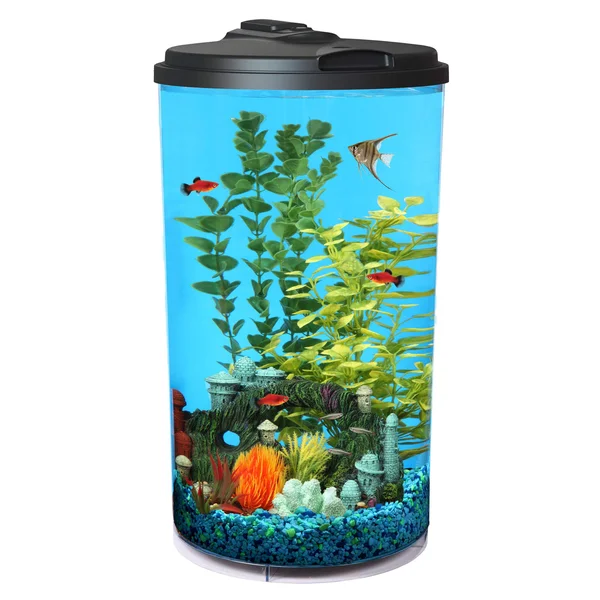 Koller Products Tropical 360 View Aquarium Starter Kit - 6-Gal
