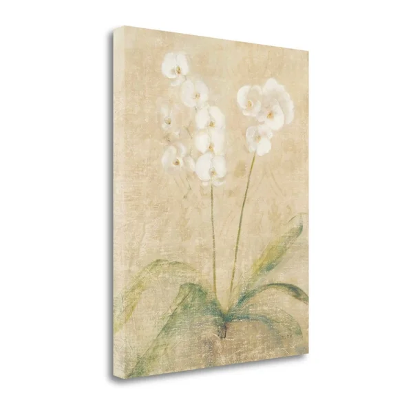 27x22 x 21x22 Orchid Cool by Cheri Blum Fine Art Giclee Print