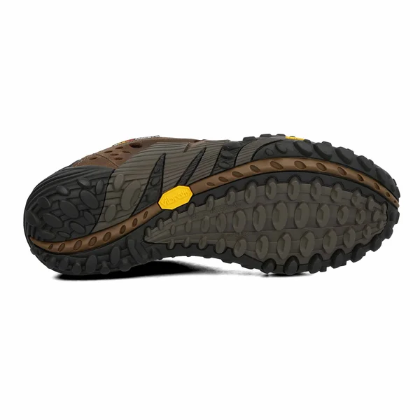 Merrell Intercept Shoes - Moth Brown
