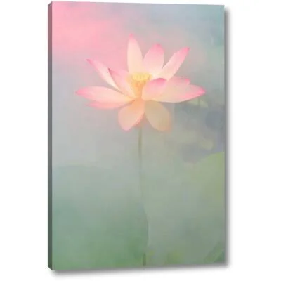 &Pink Passion& by Bahman Farzad Giclee Art Print on Wrapped Canvas World Menagerie Size: 24x22 H x 16x22 W x 1.5x22 D