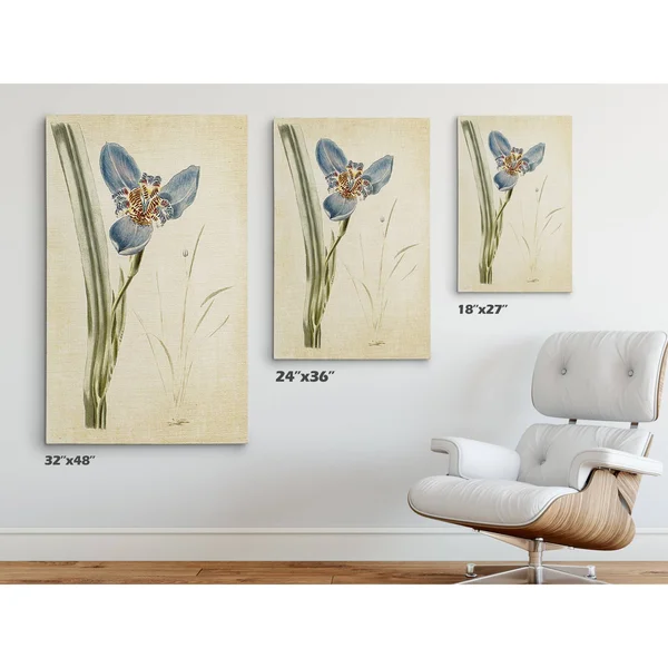 Wexford Home 'Botanical Plate I' Gallery-Wrapped Canvas Art - 18 x 24